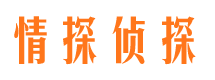 峨山市侦探公司